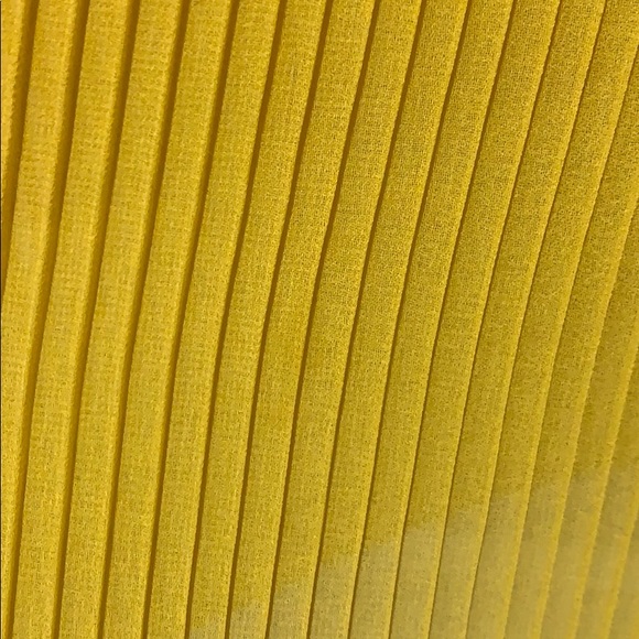 Broadway & Broome pleated skirt - Picture 4 of 8